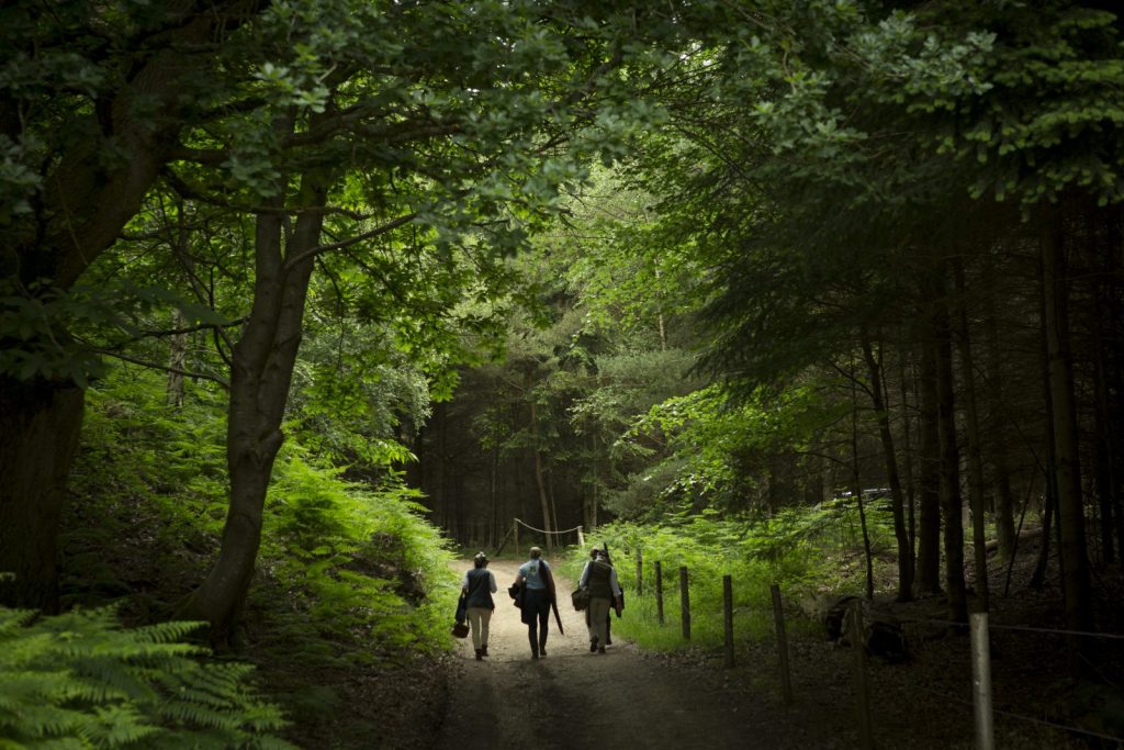 Clay pidgeon shooting Midhurst the South Downs