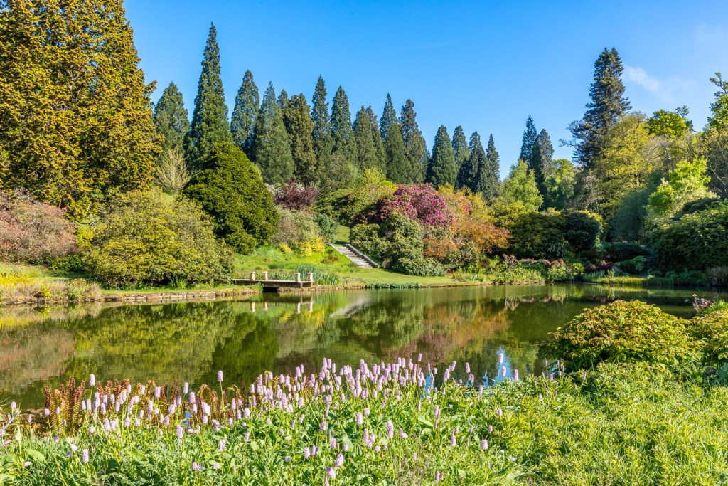 What is there to do in Midhurst